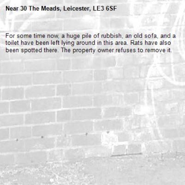 For some time now, a huge pile of rubbish, an old sofa, and a toilet have been left lying around in this area. Rats have also been spotted there. The property owner refuses to remove it.-30 The Meads, Leicester, LE3 6SF