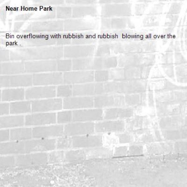 Bin overflowing with rubbish and rubbish  blowing all over the park .-Home Park