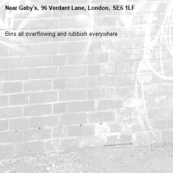 Bins all overflowing and rubbish everywhere -Gaby's, 96 Verdant Lane, London, SE6 1LF