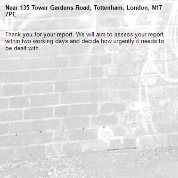 Thank you for your report. We will aim to assess your report within two working days and decide how urgently it needs to be dealt with.-135 Tower Gardens Road, Tottenham, London, N17 7PE