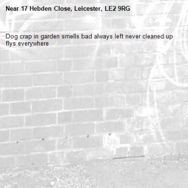 Dog crap in garden smells bad always left never cleaned up flys everywhere-17 Hebden Close, Leicester, LE2 9RG