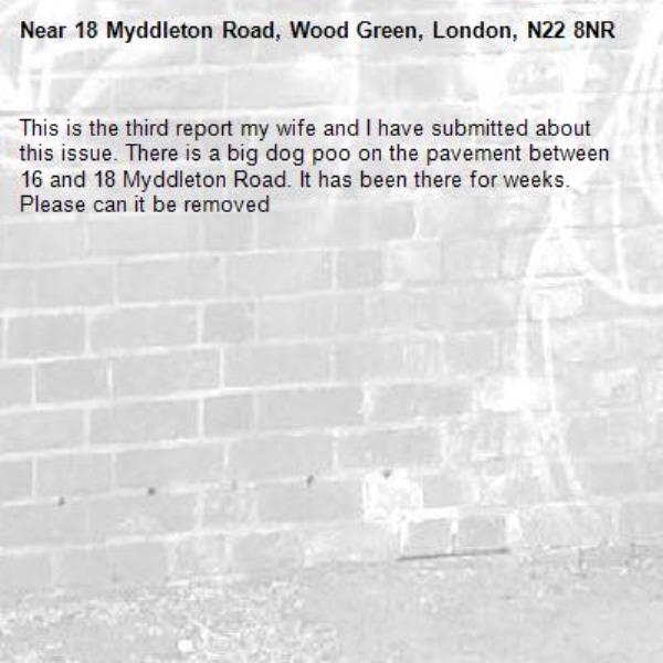 This is the third report my wife and I have submitted about this issue. There is a big dog poo on the pavement between 16 and 18 Myddleton Road. It has been there for weeks. Please can it be removed -18 Myddleton Road, Wood Green, London, N22 8NR