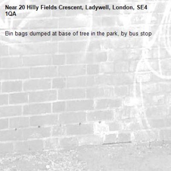 Bin bags dumped at base of tree in the park, by bus stop-20 Hilly Fields Crescent, Ladywell, London, SE4 1QA