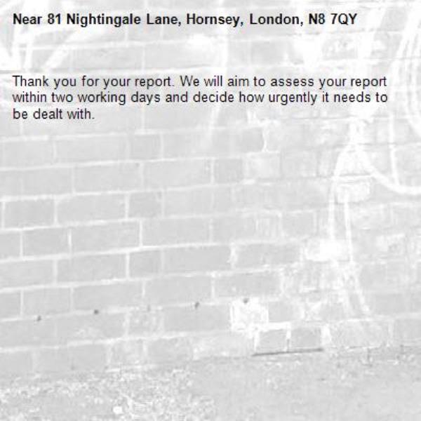 Thank you for your report. We will aim to assess your report within two working days and decide how urgently it needs to be dealt with.-81 Nightingale Lane, Hornsey, London, N8 7QY