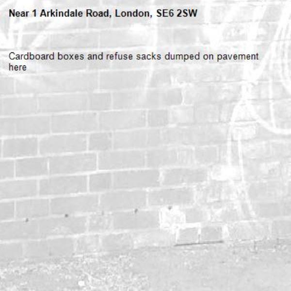 Cardboard boxes and refuse sacks dumped on pavement here -1 Arkindale Road, London, SE6 2SW