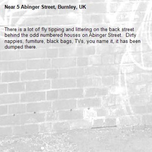 There is a lot of fly tipping and littering on the back street behind the odd numbered houses on Abinger Street.  Dirty nappies, furniture, black bags, TVs, you name it, it has been dumped there.  -5 Abinger Street, Burnley, UK