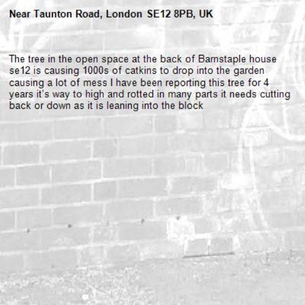 The tree in the open space at the back of Barnstaple house se12 is causing 1000s of catkins to drop into the garden causing a lot of mess I have been reporting this tree for 4 years it’s way to high and rotted in many parts it needs cutting back or down as it is leaning into the block -Taunton Road, London SE12 8PB, UK