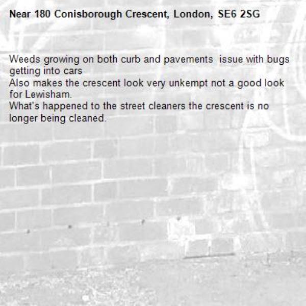 Weeds growing on both curb and pavements  issue with bugs getting into cars 
Also makes the crescent look very unkempt not a good look for Lewisham.
What&#39;s happened to the street cleaners the crescent is no longer being cleaned. -180 Conisborough Crescent, London, SE6 2SG