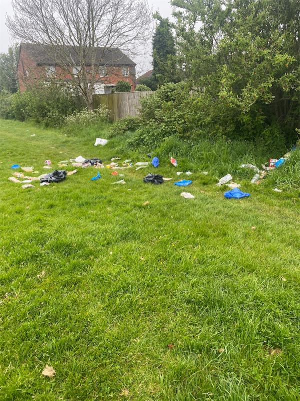 Someone has dumped their domestic waste which has now had animals rip the black bags apart and it’s all strewn everywhere -2 Swainson Road, Leicester, LE4 9DQ