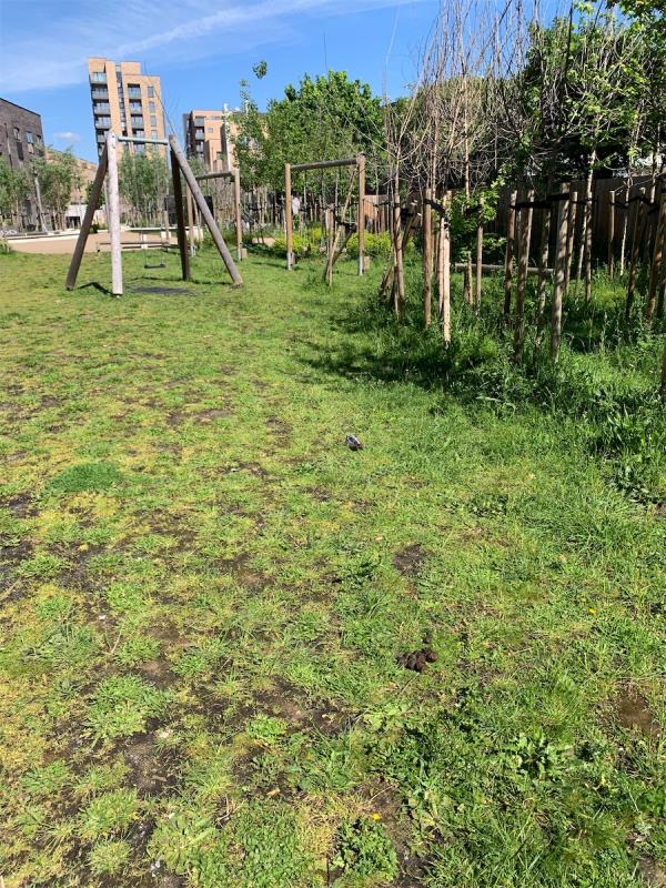Dog foul in the play area - next to some white seats / a ‘clump’ of trees. see photo -4 Thornham Grove, Stratford, London, E15 1DN