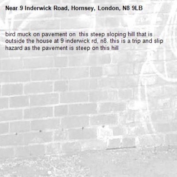 bird muck on pavement on  this steep sloping hill that is outside the house at 9 inderwick rd, n8. this is a trip and slip hazard as the pavement is steep on this hill-9 Inderwick Road, Hornsey, London, N8 9LB
