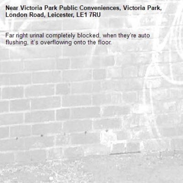 Far right urinal completely blocked, when they’re auto flushing, it’s overflowing onto the floor. -Victoria Park Public Conveniences, Victoria Park, London Road, Leicester, LE1 7RU