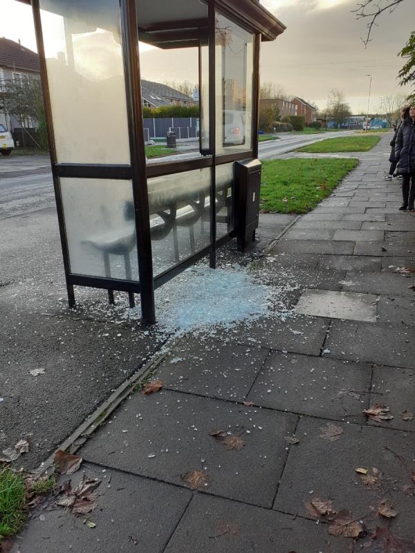 Bus shelter vandalised outside Cooper House again.  Glass within shelter and littering surrounding footway.-62 Pasley Road, Leicester, LE2 9BS