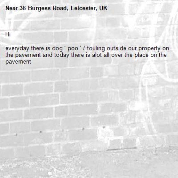 Hi

everyday there is dog ' poo ' / fouling outside our property on the pavement and today there is alot all over the place on the pavement-36 Burgess Road, Leicester, UK