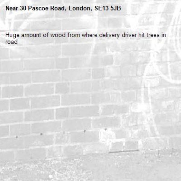 Huge amount of wood from where delivery driver hit trees in road-30 Pascoe Road, London, SE13 5JB