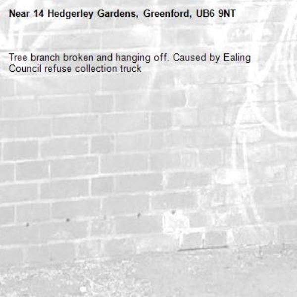 Tree branch broken and hanging off. Caused by Ealing Council refuse collection truck -14 Hedgerley Gardens, Greenford, UB6 9NT