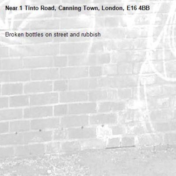 Broken bottles on street and rubbish -1 Tinto Road, Canning Town, London, E16 4BB