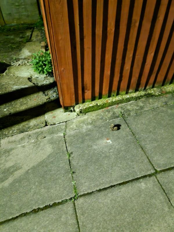 There's dog foul around this area. Please resolve this issue.-32 Jean Drive, Leicester, LE4 0GA