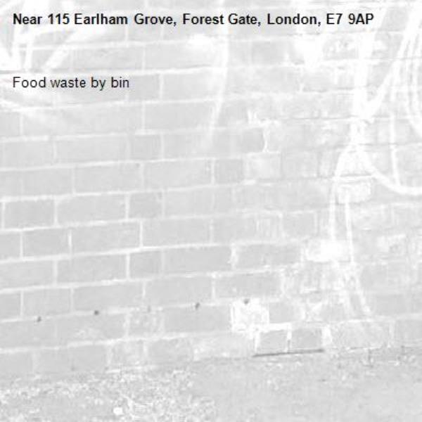 Food waste by bin-115 Earlham Grove, Forest Gate, London, E7 9AP