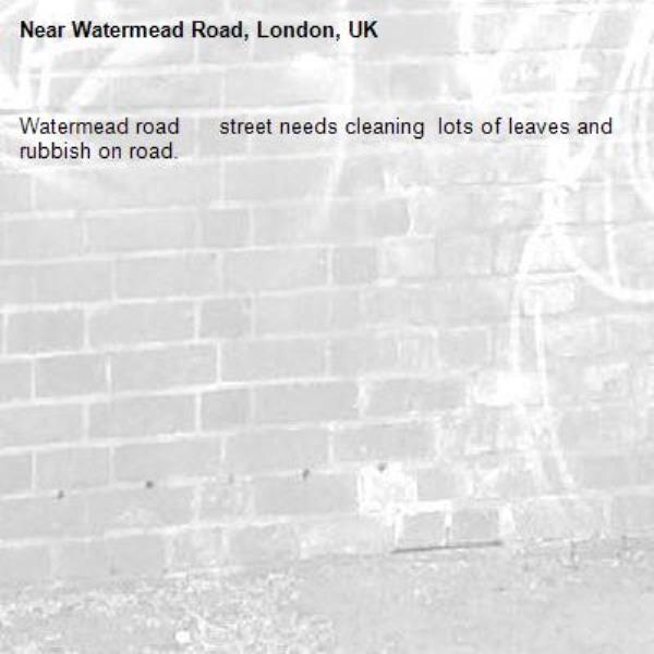 Watermead road      street needs cleaning  lots of leaves and rubbish on road.-Watermead Road, London, UK