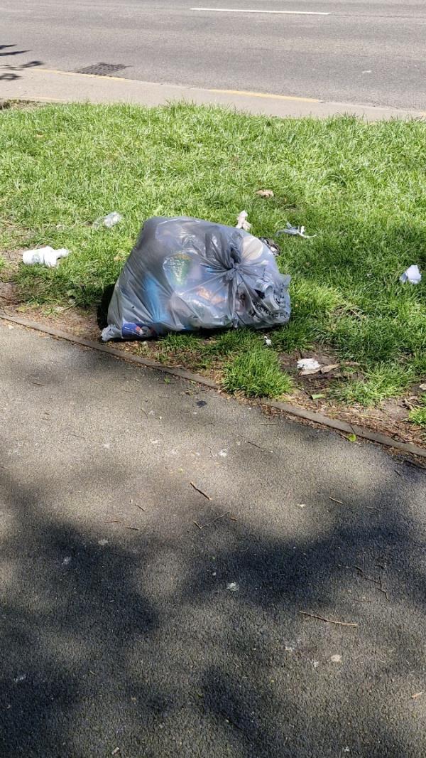 Bag needs collecting before all the rubbish is strewn across the streets again-201 Anstey Lane, Leicester, LE4 0FH