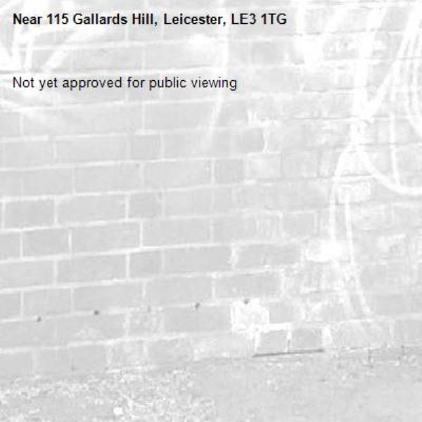 Not yet approved for public viewing-115 Gallards Hill, Leicester, LE3 1TG