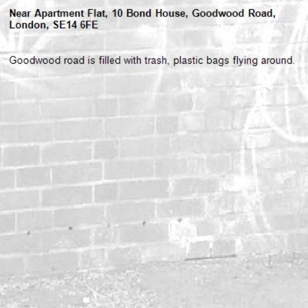 Goodwood road is filled with trash, plastic bags flying around.-Apartment Flat, 10 Bond House, Goodwood Road, London, SE14 6FE