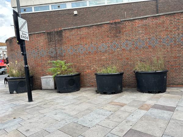 These 4 tubs are full of weeds and attract lots of litter.  Can you please replant with proper shrubs as they’ve all died. -Post Office, 22 Barking Road, Canning Town, London, E16 1HF