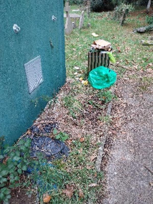 rubbish bags and overflowing litter bin in cemetery -42 St Bartholomews Rd, Reading RG1 3QA, UK