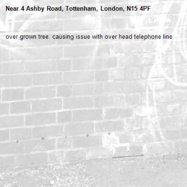 over grown tree. causing issue with over head telephone line-4 Ashby Road, Tottenham, London, N15 4PF