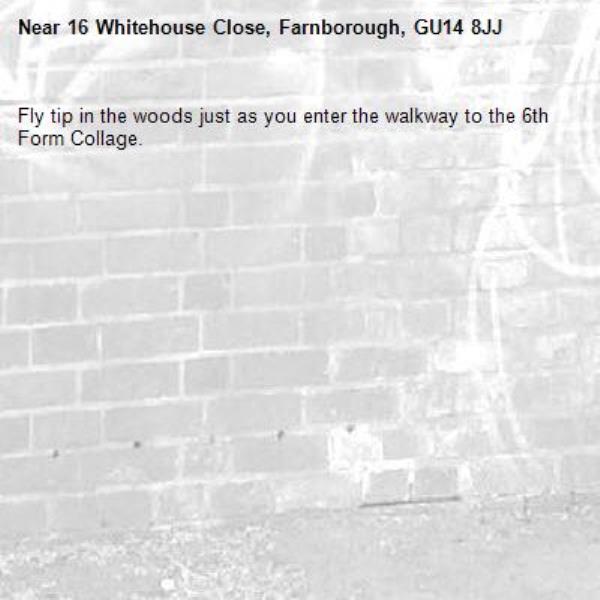 Fly tip in the woods just as you enter the walkway to the 6th Form Collage.-16 Whitehouse Close, Farnborough, GU14 8JJ