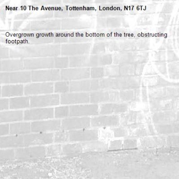 Overgrown growth around the bottom of the tree, obstructing footpath. -10 The Avenue, Tottenham, London, N17 6TJ