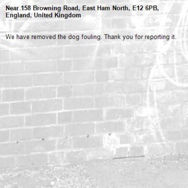 We have removed the dog fouling. Thank you for reporting it.-158 Browning Road, East Ham North, E12 6PB, England, United Kingdom