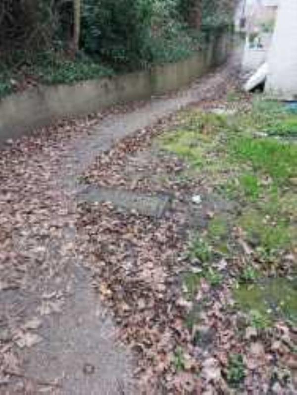 Pathways to rear of Block require sweeping to remove build up of leaves. Reported via Fix My Street-St. Johns Court Lewisham Road, Lewisham, SE13 7QB