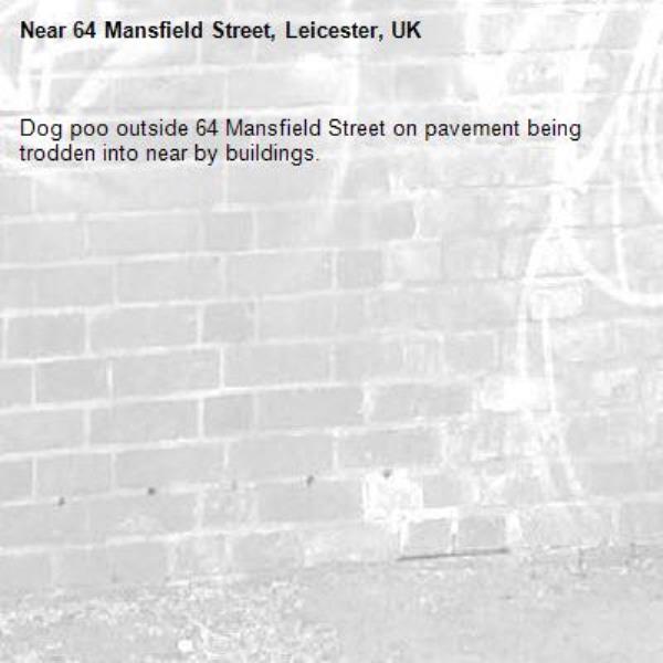 Dog poo outside 64 Mansfield Street on pavement being trodden into near by buildings. -64 Mansfield Street, Leicester, UK