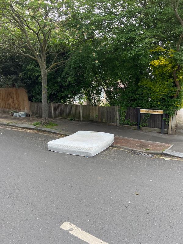 Still there in the middle of the street-159 Clarendon Rise, Hither Green, London, SE13 5EX