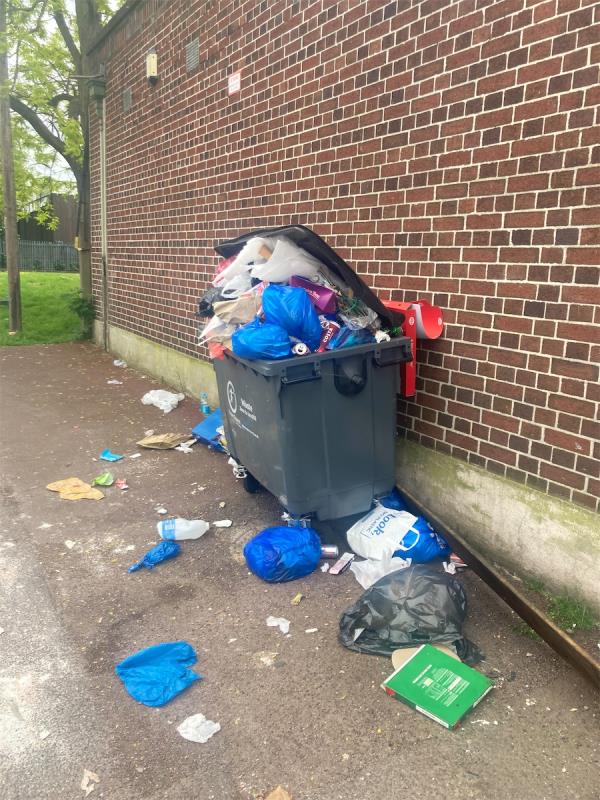 I reported the same issue 12 days ago but the rubbish is STILL THERE. The street itself is an absolute disgrace. It’s absolutely filthy every day of the year. Get it cleaned please.-2A, Beaumont Road, Plaistow, London, E13 8RJ