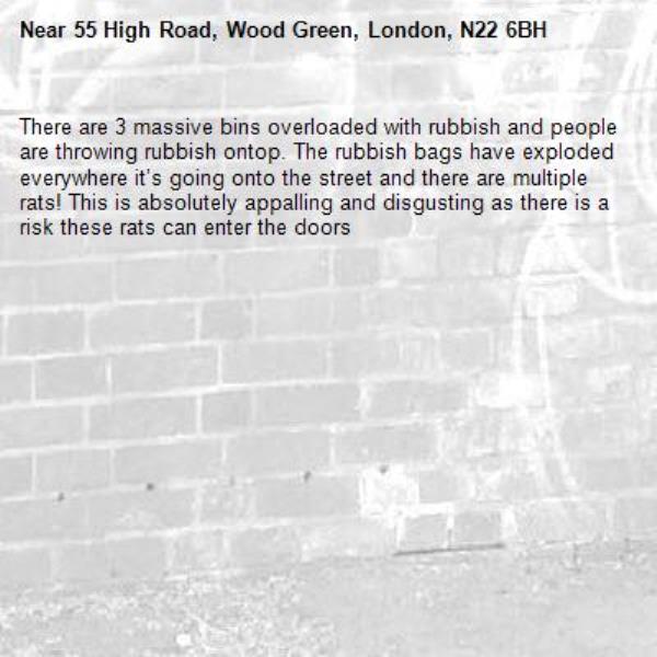 There are 3 massive bins overloaded with rubbish and people are throwing rubbish ontop. The rubbish bags have exploded everywhere it’s going onto the street and there are multiple rats! This is absolutely appalling and disgusting as there is a risk these rats can enter the doors -55 High Road, Wood Green, London, N22 6BH