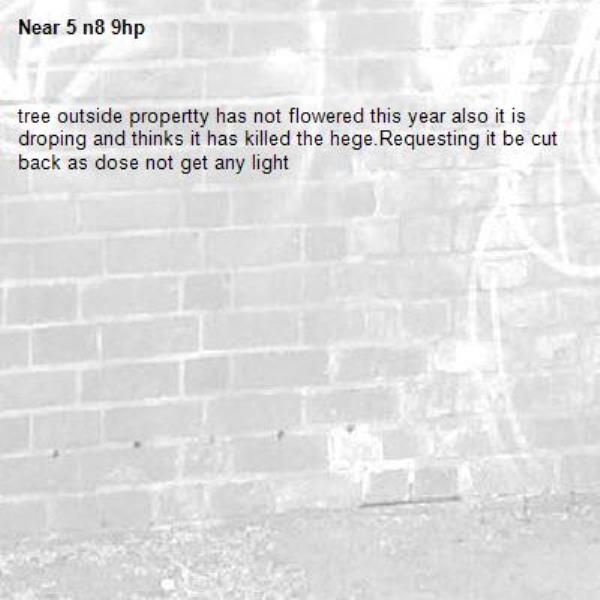 tree outside propertty has not flowered this year also it is droping and thinks it has killed the hege.Requesting it be cut back as dose not get any light-5 n8 9hp