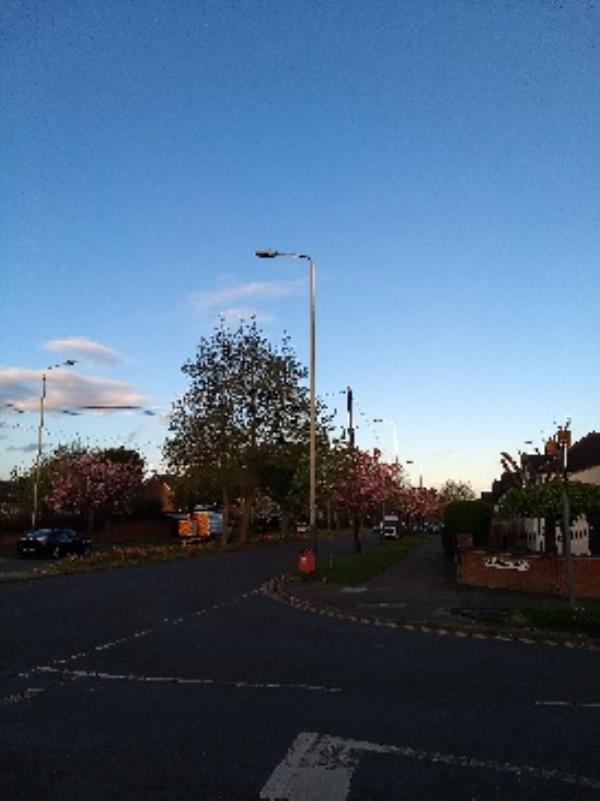 lamp 48, junction Westfield and Glenfield roads. was out on Friday.-173 Glenfield Road, Leicester, LE3 6DL