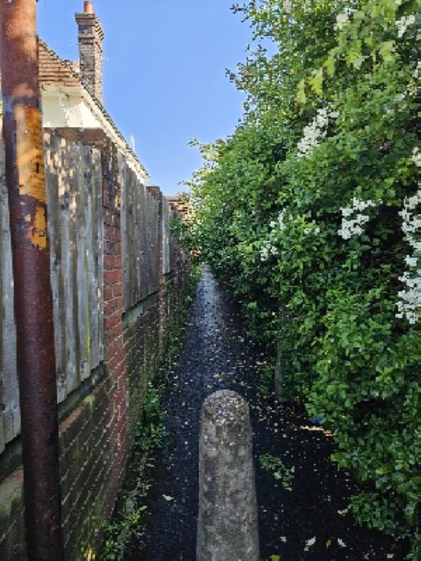 The vegetation along the alleyway, Boxalls Lane to Park Road, is very overgrown. It's getting difficult to walk up the alleyway.-121 Boxalls Lane, Aldershot, GU11 3QQ
