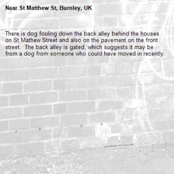 There is dog fouling down the back alley behind the houses on St Mathew Street and also on the pavement on the front street.  The back alley is gated, which suggests it may be from a dog from someone who could have moved in recently.-St Matthew St, Burnley, UK