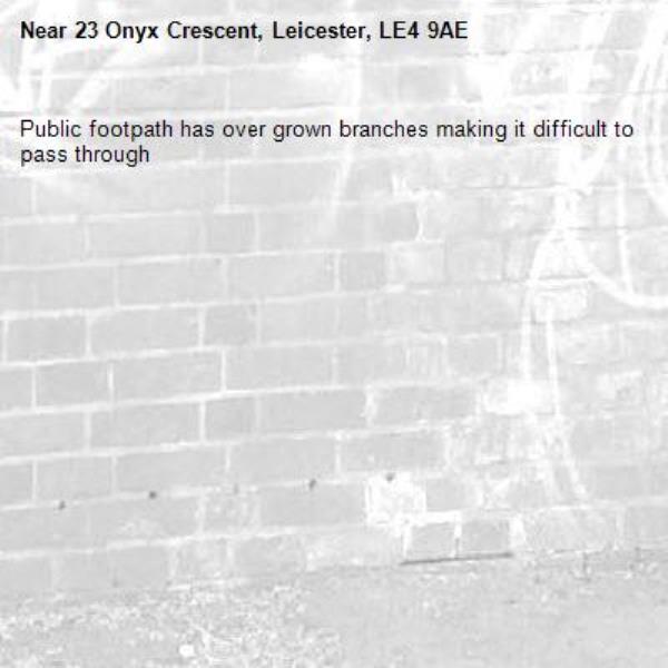 Public footpath has over grown branches making it difficult to pass through -23 Onyx Crescent, Leicester, LE4 9AE