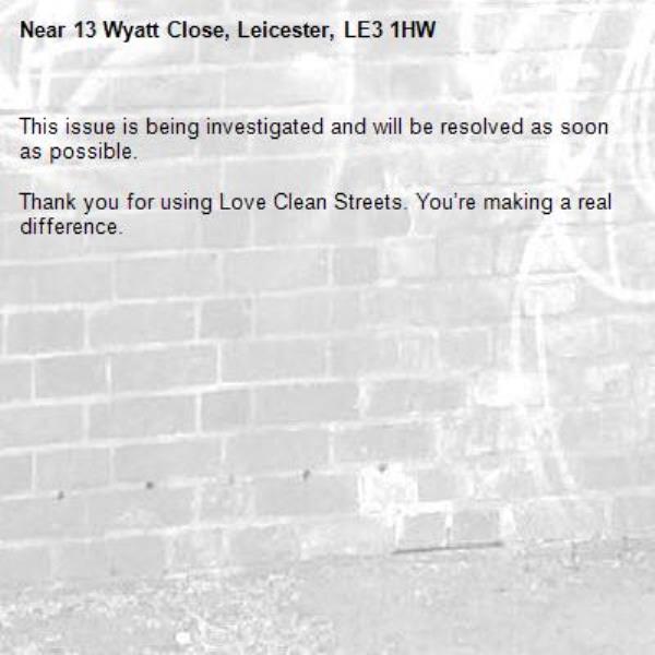 This issue is being investigated and will be resolved as soon as possible.

Thank you for using Love Clean Streets. You’re making a real difference.-13 Wyatt Close, Leicester, LE3 1HW