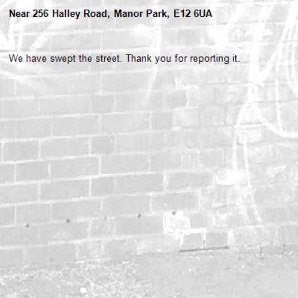 We have swept the street. Thank you for reporting it.-256 Halley Road, Manor Park, E12 6UA