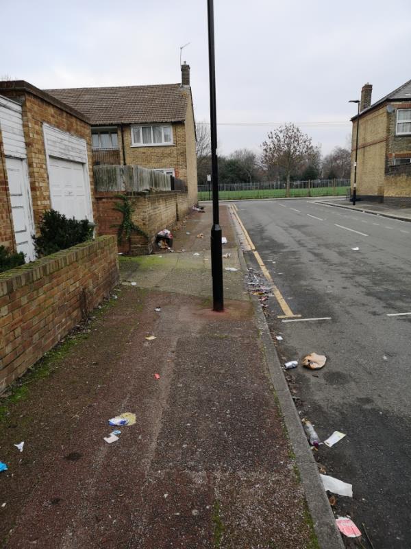 Lots of litter and no cleaning for over a month-51 Sheppard Street, Canning Town, E16 4JX