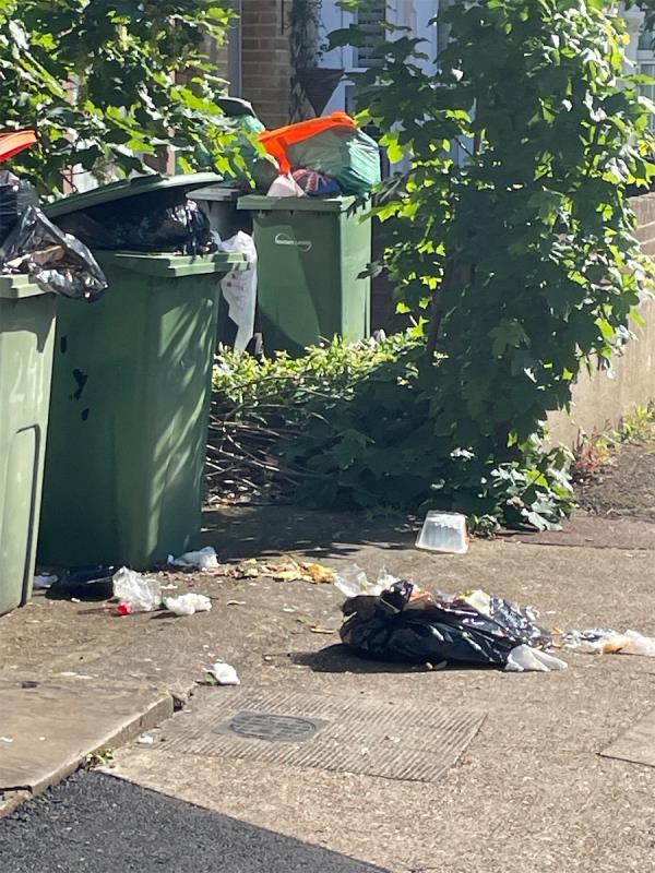 241 litter from bins on street-239 Sherrard Road, Manor Park, London, E12 6UG