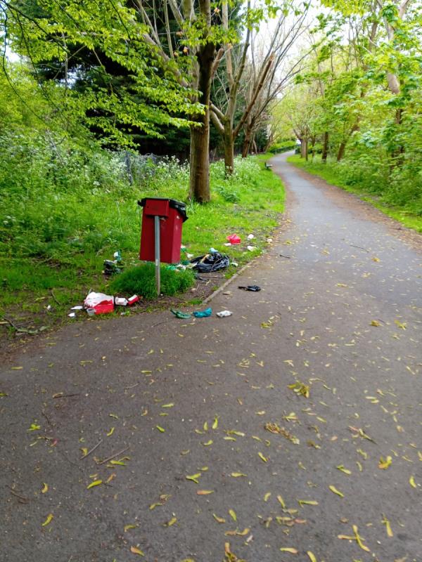 Household rubbish dumped by the dog poo bin at junction of path coming up from Conisbrough crescent  & path going to dog walking area-Conisborough Crescent, London