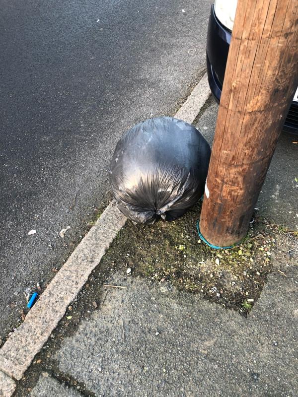 Please clear black bag from by telegraph pole-17 Farmfield Road, Bromley, BR1 4NF, England, United Kingdom