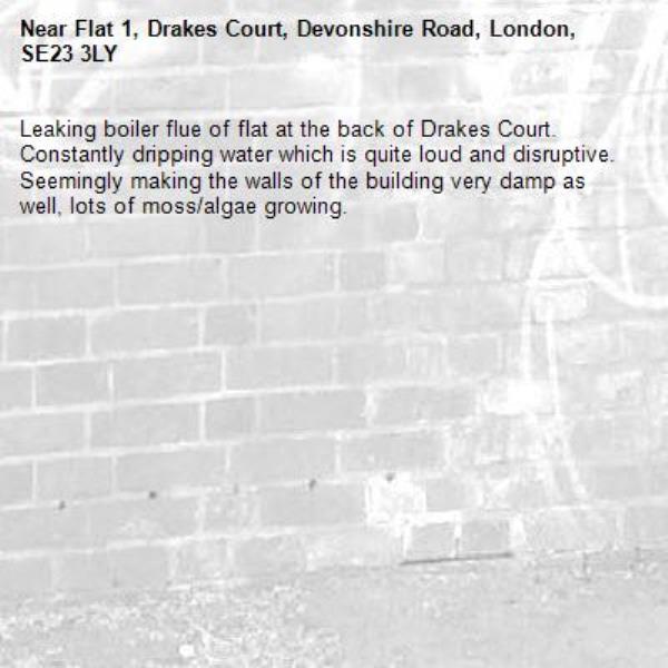 Leaking boiler flue of flat at the back of Drakes Court. Constantly dripping water which is quite loud and disruptive. Seemingly making the walls of the building very damp as well, lots of moss/algae growing. -Flat 1, Drakes Court, Devonshire Road, London, SE23 3LY